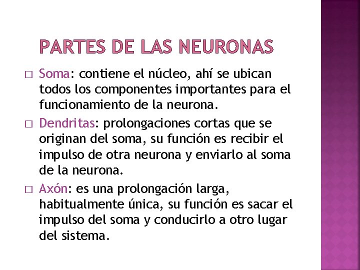 PARTES DE LAS NEURONAS � � � Soma: contiene el núcleo, ahí se ubican