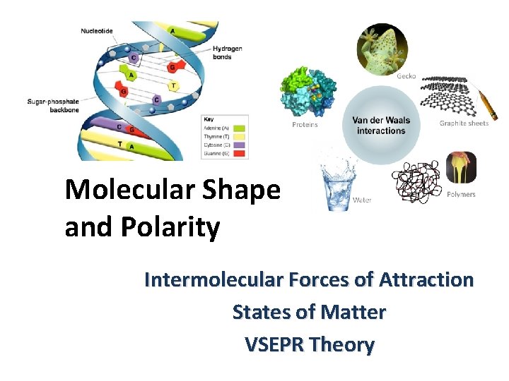 Molecular Shape and Polarity Intermolecular Forces of Attraction States of Matter VSEPR Theory 