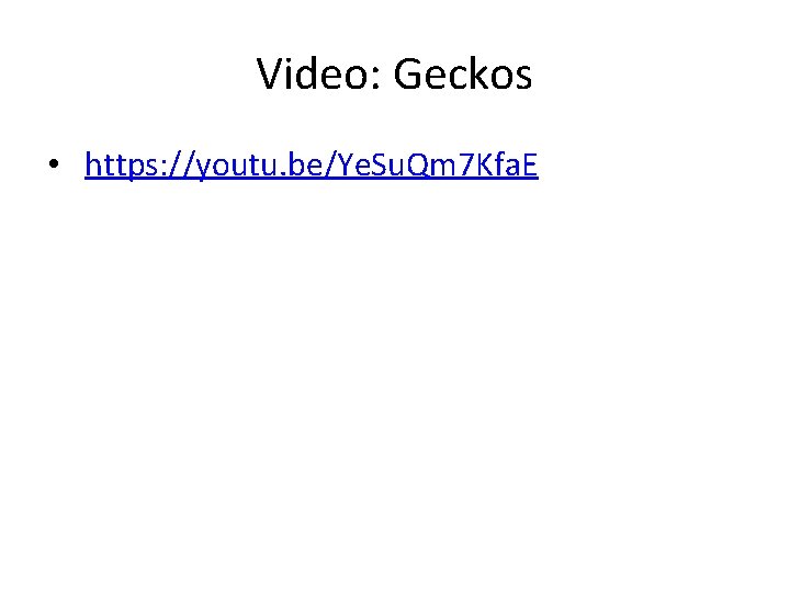 Video: Geckos • https: //youtu. be/Ye. Su. Qm 7 Kfa. E 