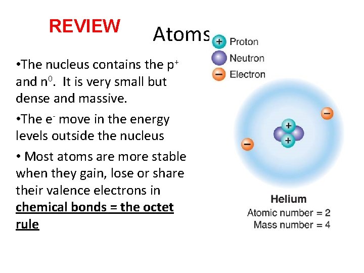 REVIEW Atoms • The nucleus contains the p+ and n 0. It is very