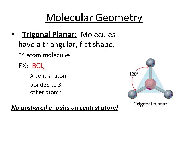 Molecular Geometry • Trigonal Planar: Molecules have a triangular, flat shape. *4 atom molecules