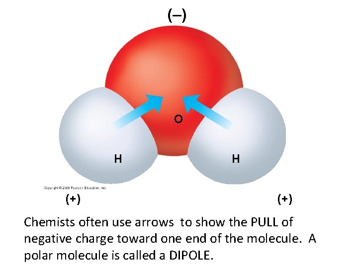 (–) O H (+) Chemists often use arrows to show the PULL of negative