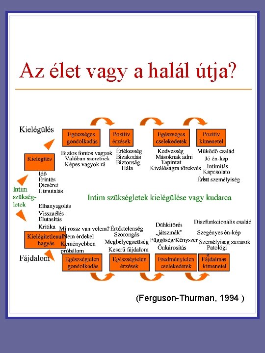 Az élet vagy a halál útja? (Ferguson-Thurman, 1994 ) Az élet vagy a halál útja? (Ferguson-Thurman, 1994 )