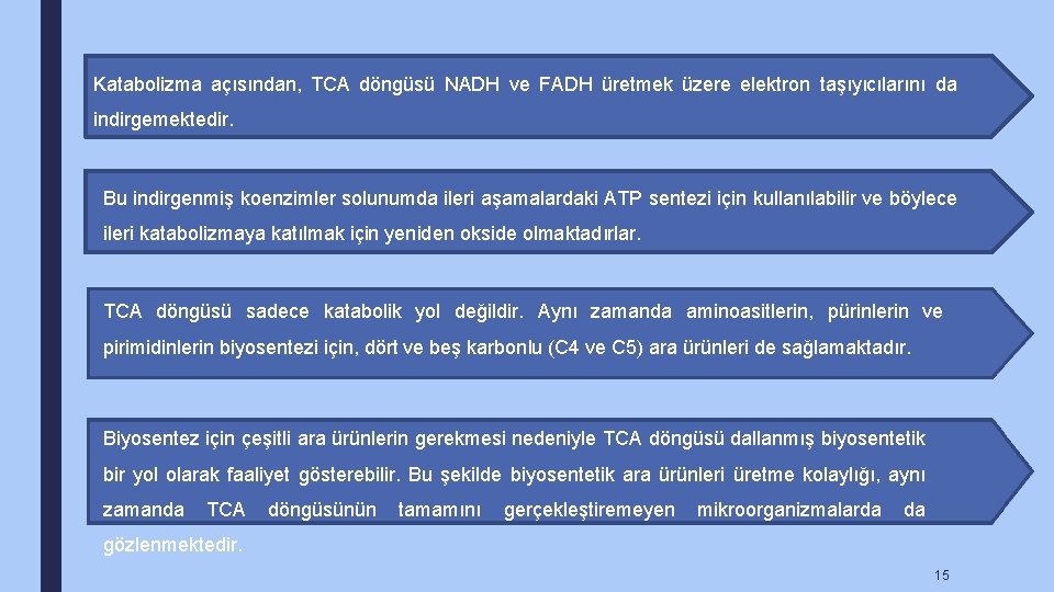 Katabolizma açısından, TCA döngüsü NADH ve FADH üretmek üzere elektron taşıyıcılarını da indirgemektedir. Bu