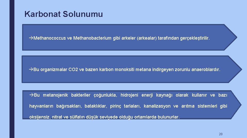 Karbonat Solunumu Methanococcus ve Methanobacterium gibi arkeler (arkealar) tarafından gerçekleştirilir. Bu organizmalar CO 2