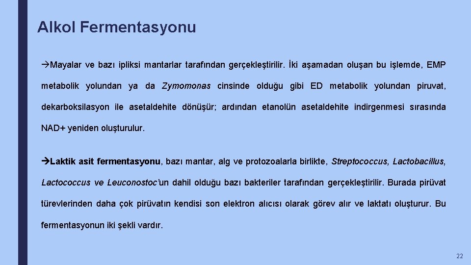 Alkol Fermentasyonu Mayalar ve bazı ipliksi mantarlar tarafından gerçekleştirilir. İki aşamadan oluşan bu işlemde,