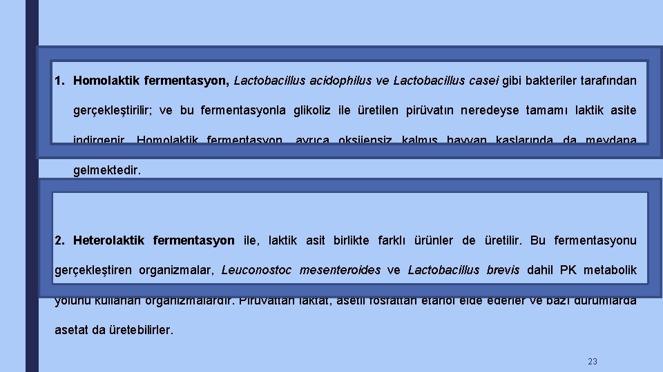 1. Homolaktik fermentasyon, Lactobacillus acidophilus ve Lactobacillus casei gibi bakteriler tarafından gerçekleştirilir; ve bu