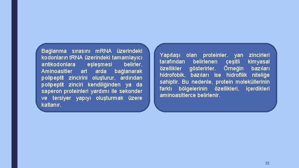 Bağlanma sırasını m. RNA üzerindeki kodonların t. RNA üzerindeki tamamlayıcı antikodonlara eşleşmesi belirler. Aminoasitler