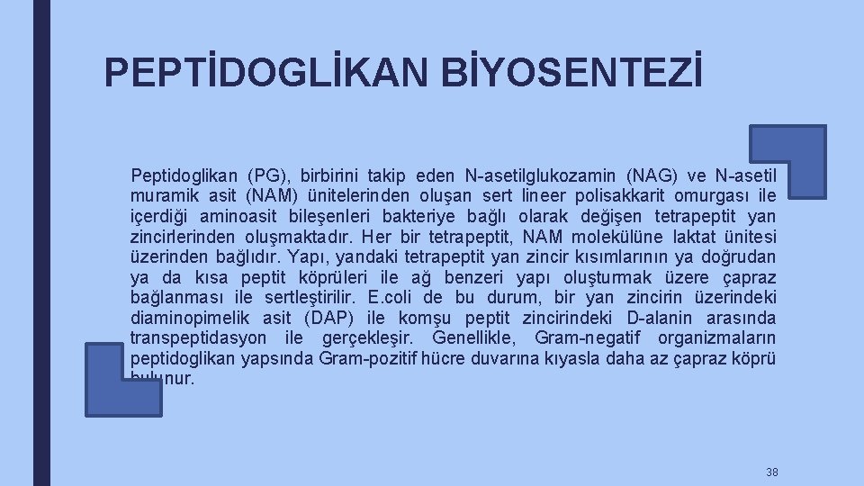 PEPTİDOGLİKAN BİYOSENTEZİ Peptidoglikan (PG), birbirini takip eden N-asetilglukozamin (NAG) ve N-asetil muramik asit (NAM)