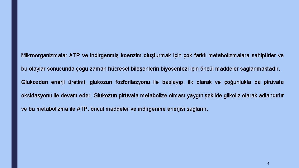 Mikroorganizmalar ATP ve indirgenmiş koenzim oluşturmak için çok farklı metabolizmalara sahiptirler ve bu olaylar