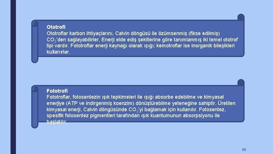 Ototrofi Ototroflar karbon ihtiyaçlarını, Calvin döngüsü ile özümsenmiş (fikse edilmiş) CO 2’den sağlayabilirler. Enerji