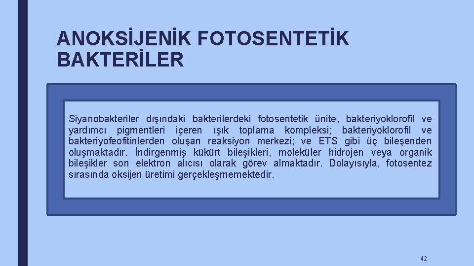 ANOKSİJENİK FOTOSENTETİK BAKTERİLER Siyanobakteriler dışındaki bakterilerdeki fotosentetik ünite, bakteriyoklorofil ve yardımcı pigmentleri içeren ışık