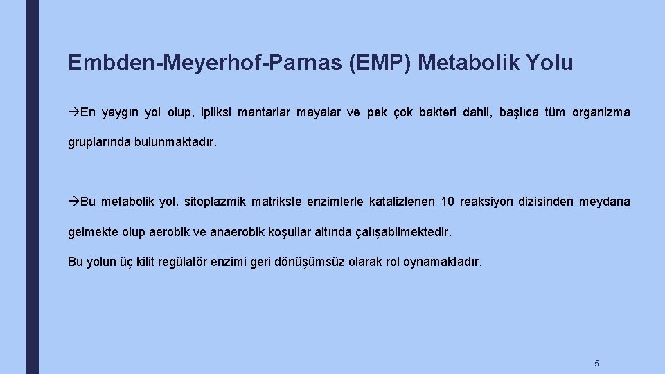 Embden-Meyerhof-Parnas (EMP) Metabolik Yolu En yaygın yol olup, ipliksi mantarlar mayalar ve pek çok