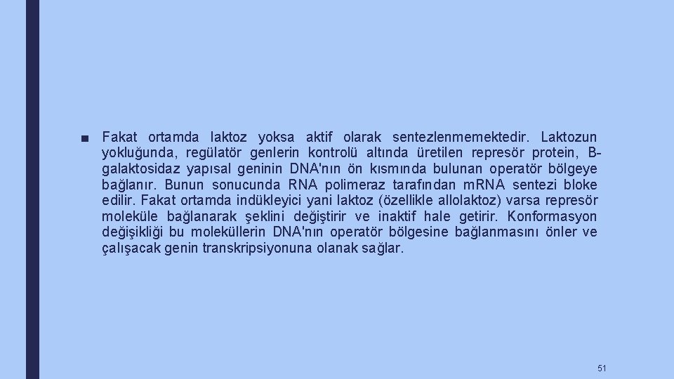 ■ Fakat ortamda laktoz yoksa aktif olarak sentezlenmemektedir. Laktozun yokluğunda, regülatör genlerin kontrolü altında