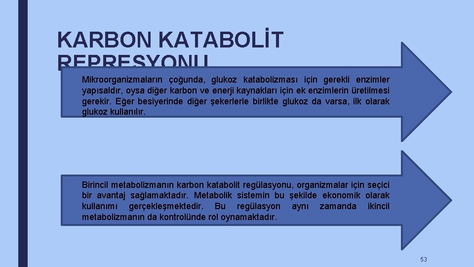 KARBON KATABOLİT REPRESYONU Mikroorganizmaların çoğunda, glukoz katabolizması için gerekli enzimler yapısaldır, oysa diğer karbon