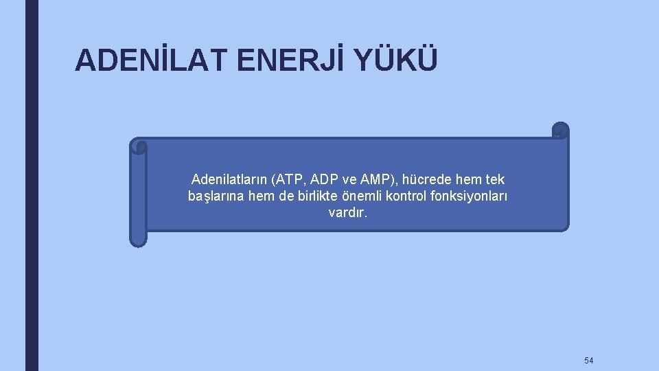 ADENİLAT ENERJİ YÜKÜ Adenilatların (ATP, ADP ve AMP), hücrede hem tek başlarına hem de