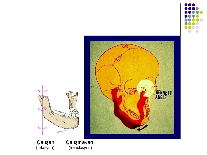 Çalışan Çalışmayan (rotasyon) (translasyon) 