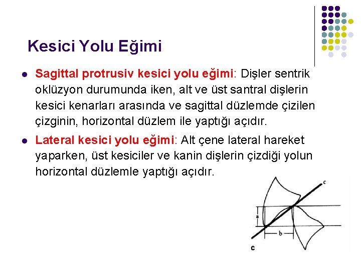 Kesici Yolu Eğimi l Sagittal protrusiv kesici yolu eğimi: Dişler sentrik oklüzyon durumunda iken,