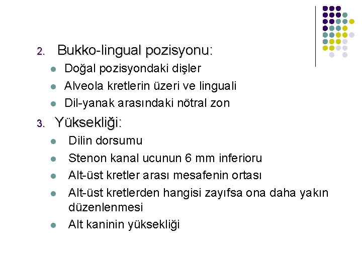 Bukko-lingual pozisyonu: 2. l l l 3. Doğal pozisyondaki dişler Alveola kretlerin üzeri ve