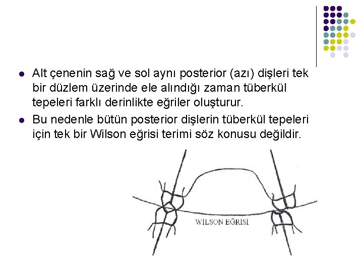 l l Alt çenenin sağ ve sol aynı posterior (azı) dişleri tek bir düzlem