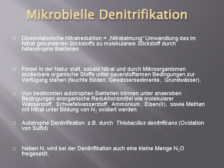 Mikrobielle Denitrifikation � Dissimilatorische Nitratreduktion = „Nitratatmung“ Umwandlung des im Nitrat gebundenen Stickstoffs zu