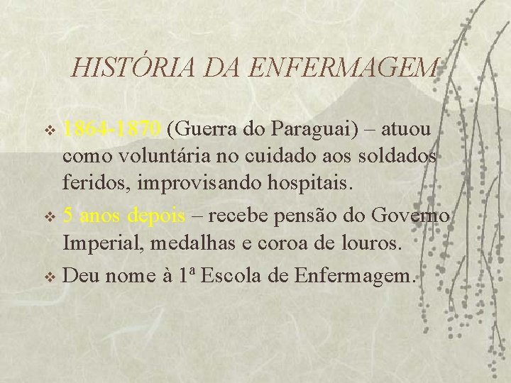 HISTÓRIA DA ENFERMAGEM 1864 -1870 (Guerra do Paraguai) – atuou como voluntária no cuidado