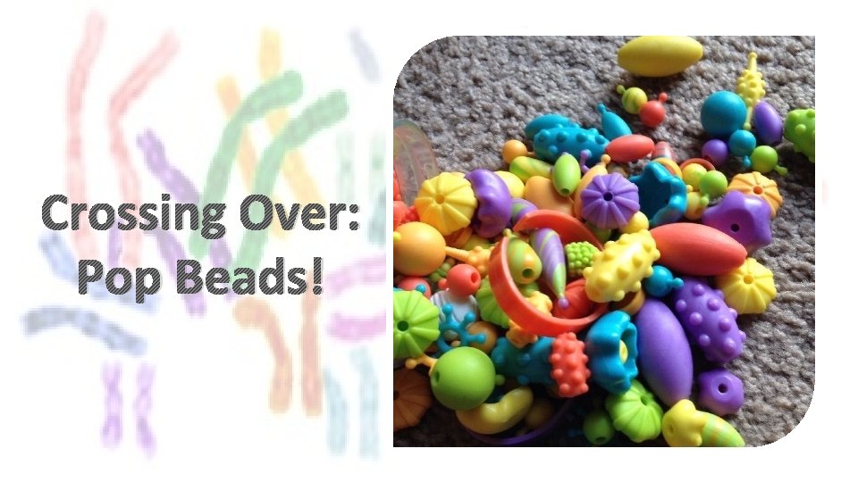 Crossing Over: Pop Beads! 