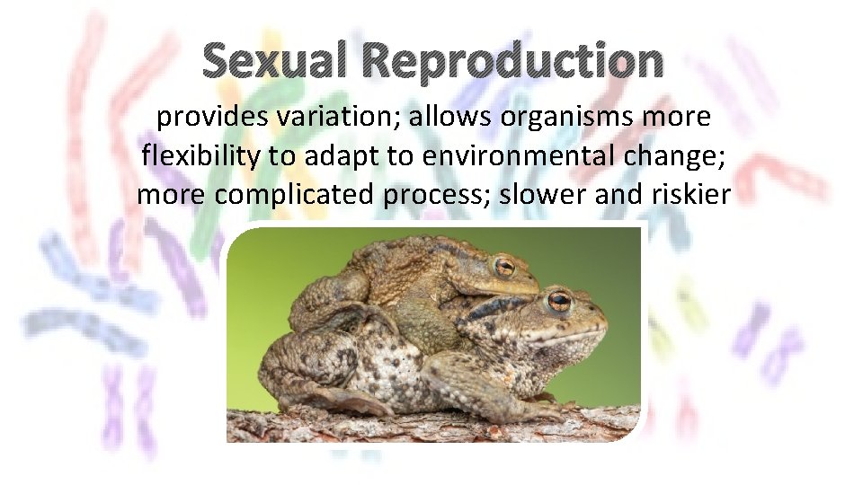 Sexual Reproduction provides variation; allows organisms more flexibility to adapt to environmental change; more