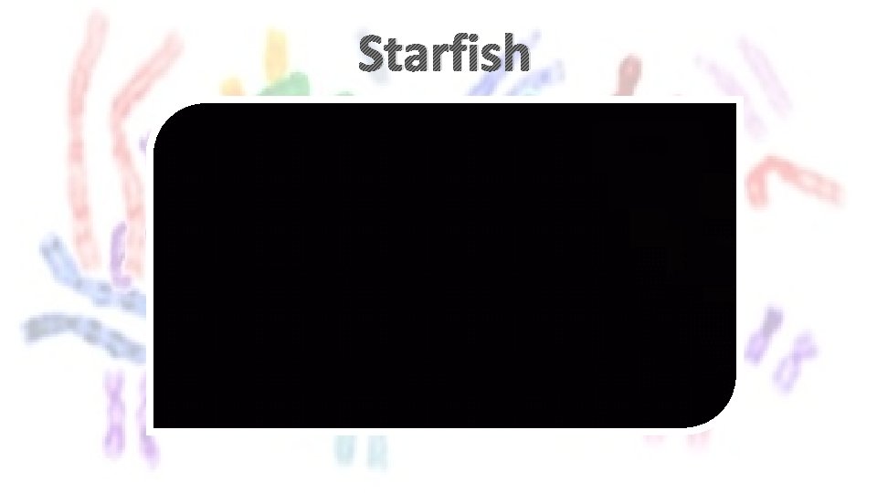 Starfish 