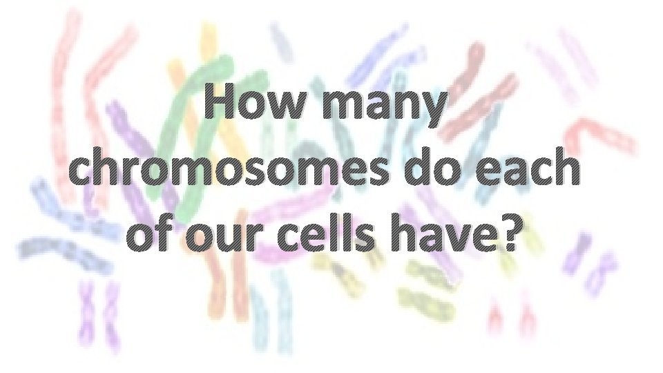 How many chromosomes do each of our cells have? 