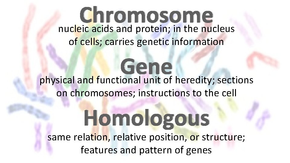 Chromosome nucleic acids and protein; in the nucleus of cells; carries genetic information Gene