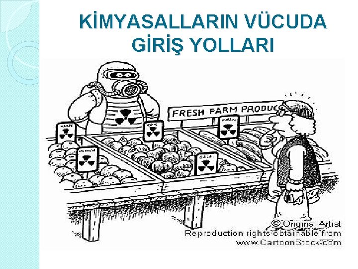 KİMYASALLARIN VÜCUDA GİRİŞ YOLLARI 