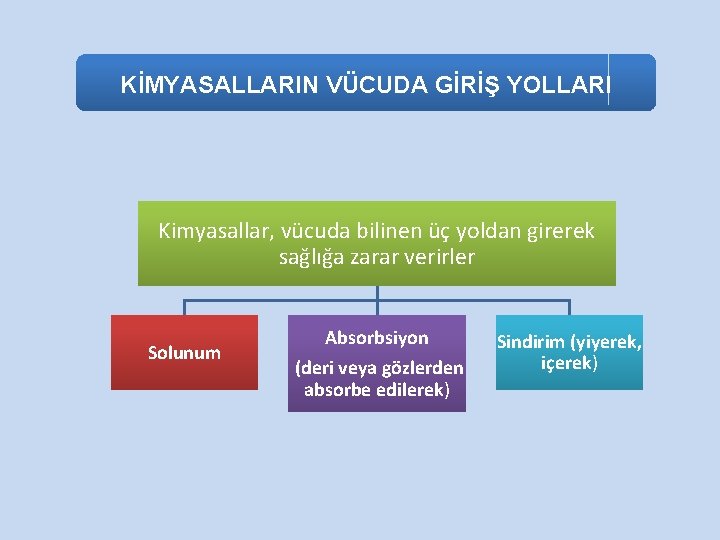 KİMYASALLARIN VÜCUDA GİRİŞ YOLLARI Kimyasallar, vücuda bilinen üç yoldan girerek sağlığa zarar verirler Solunum