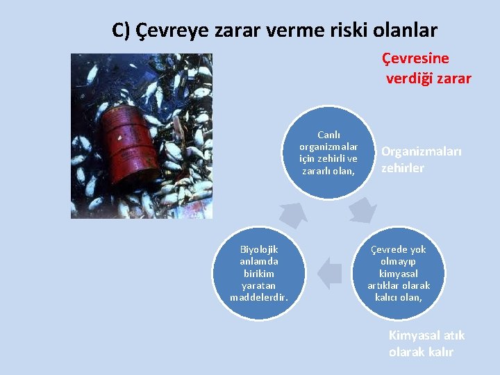 C) Çevreye zarar verme riski olanlar Çevresine verdiği zarar Canlı organizmalar için zehirli ve