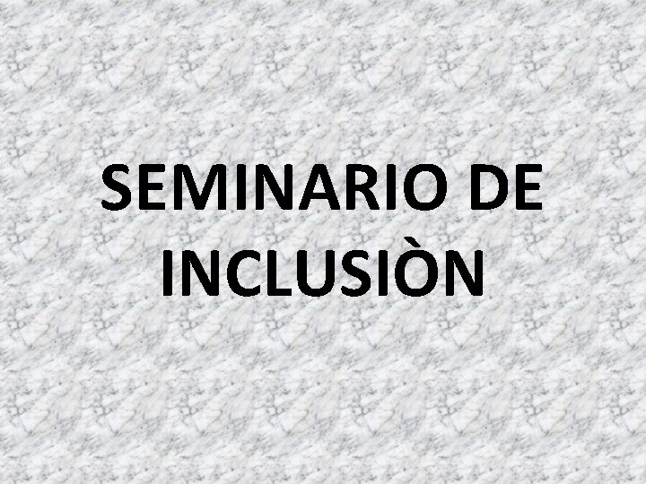 SEMINARIO DE INCLUSIÒN 