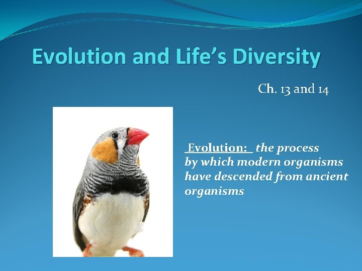 Evolution and Life’s Diversity Ch. 13 and 14 Evolution: the process by which modern