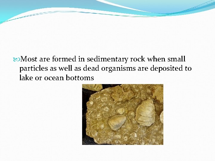  Most are formed in sedimentary rock when small particles as well as dead