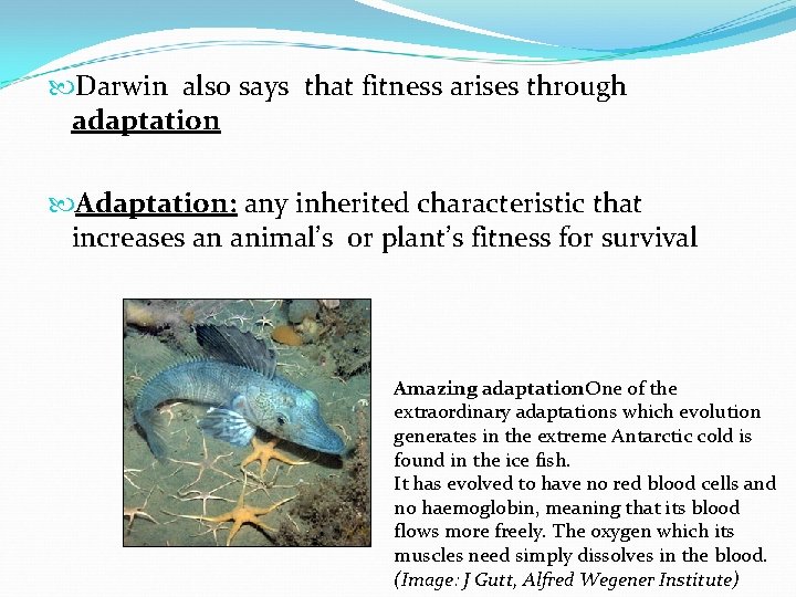  Darwin also says that fitness arises through adaptation Adaptation: any inherited characteristic that