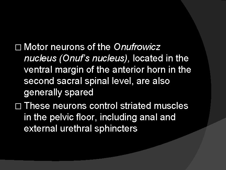 � Motor neurons of the Onufrowicz nucleus (Onuf’s nucleus), located in the ventral margin