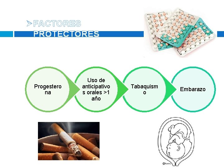 ØFACTORES PROTECTORES Progestero na Uso de anticipativo s orales >1 año Tabaquism o Embarazo ØFACTORES PROTECTORES Progestero na Uso de anticipativo s orales >1 año Tabaquism o Embarazo