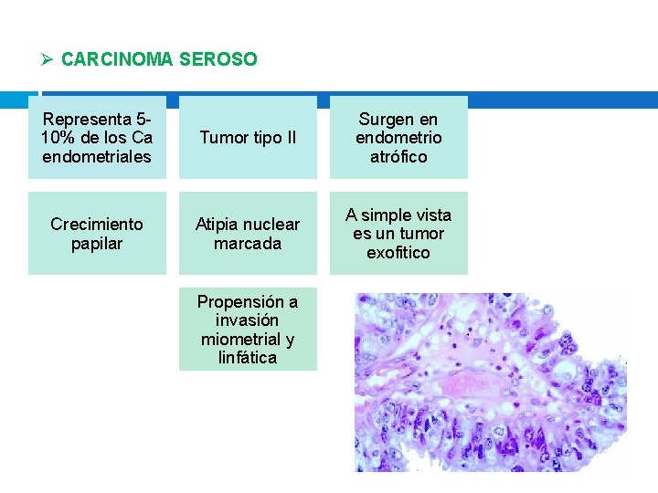 Ø CARCINOMA SEROSO Representa 510% de los Ca endometriales Tumor tipo II Surgen en Ø CARCINOMA SEROSO Representa 510% de los Ca endometriales Tumor tipo II Surgen en