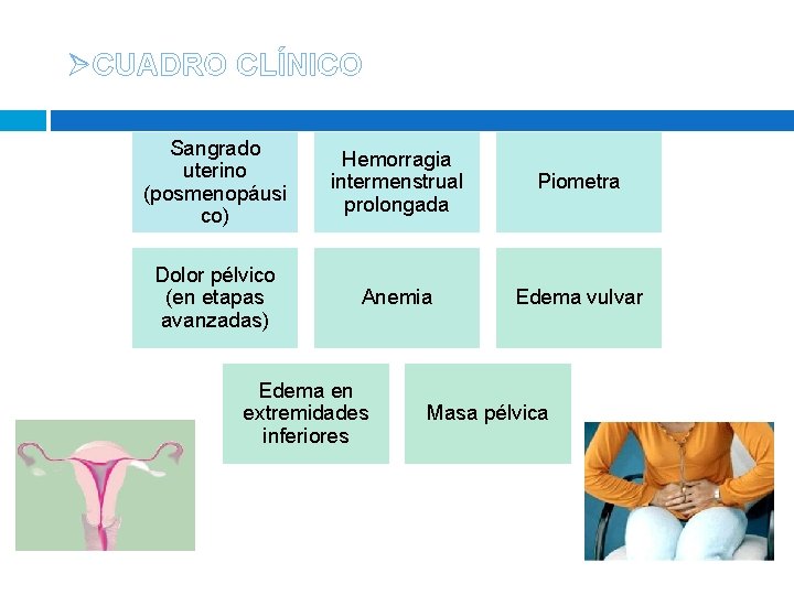 ØCUADRO CLÍNICO Sangrado uterino (posmenopáusi co) Hemorragia intermenstrual prolongada Piometra Dolor pélvico (en etapas ØCUADRO CLÍNICO Sangrado uterino (posmenopáusi co) Hemorragia intermenstrual prolongada Piometra Dolor pélvico (en etapas
