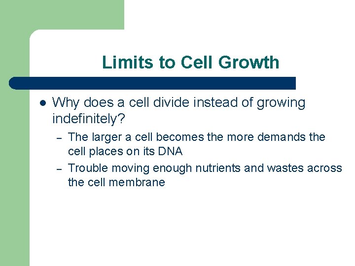 Limits to Cell Growth l Why does a cell divide instead of growing indefinitely?