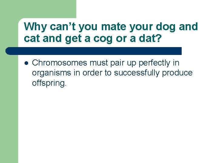 Why can’t you mate your dog and cat and get a cog or a