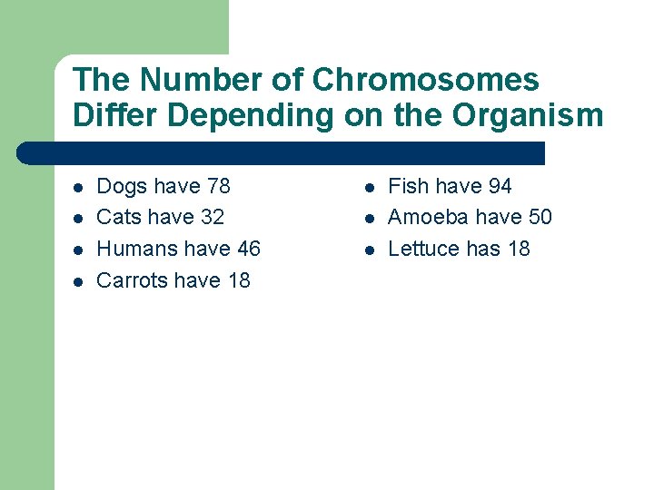 The Number of Chromosomes Differ Depending on the Organism l l Dogs have 78