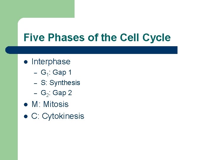 Five Phases of the Cell Cycle l Interphase – – – l l G