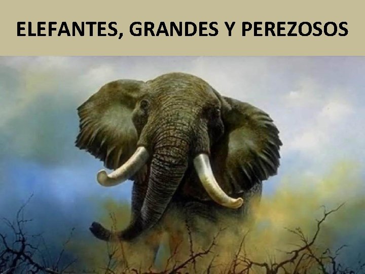 ELEFANTES, GRANDES Y PEREZOSOS 