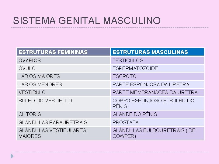 SISTEMA GENITAL MASCULINO ESTRUTURAS FEMININAS ESTRUTURAS MASCULINAS OVÁRIOS TESTÍCULOS ÓVULO ESPERMATOZÓIDE LÁBIOS MAIORES ESCROTO