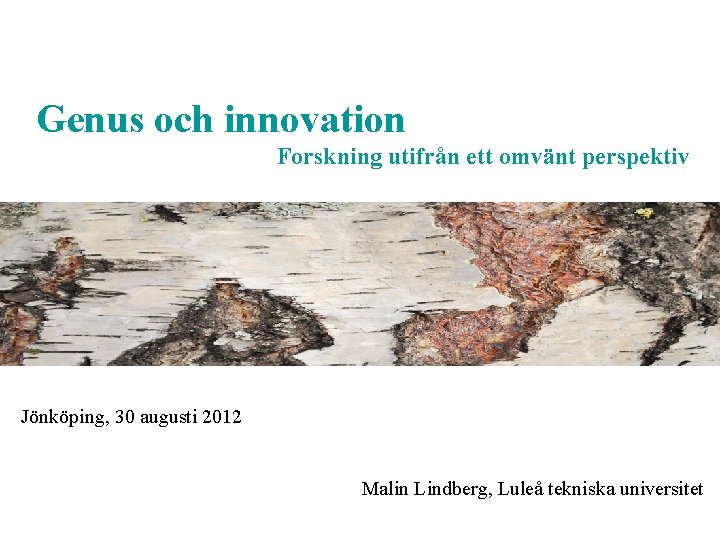 Genus och innovation Forskning utifrån ett omvänt perspektiv Jönköping, 30 augusti 2012 Malin Lindberg,