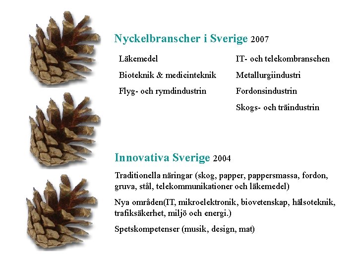 Nyckelbranscher i Sverige 2007 Läkemedel IT- och telekombranschen Bioteknik & medicinteknik Metallurgiindustri Flyg- och